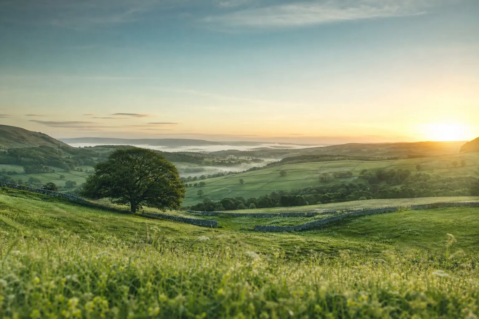 Cotswolds fields and dry stone walls at sunrise